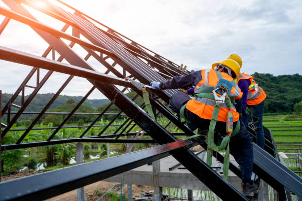 Best Shingle Roofing Installation  in Swartz Creek, MI