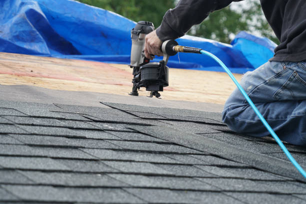 Best Metal Roofing Contractor  in Swartz Creek, MI