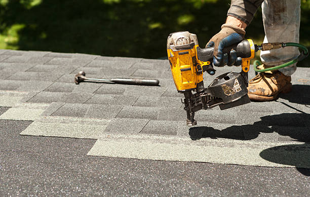 Best Roof Gutter Cleaning  in Swartz Creek, MI