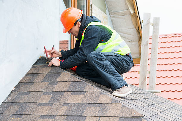 Best Local Roofing Companies  in Swartz Creek, MI
